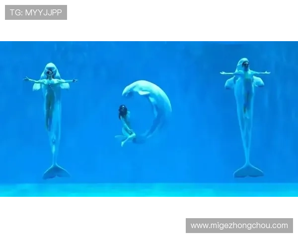 恒峰AG首页优惠活动不断更新精彩纷呈不容错过