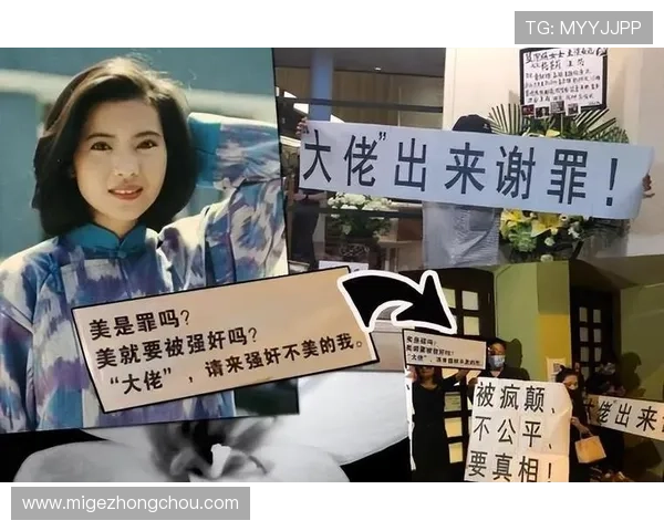 宝龙娱乐网深度解析娱乐圈内幕，带你了解明星背后的故事与真相