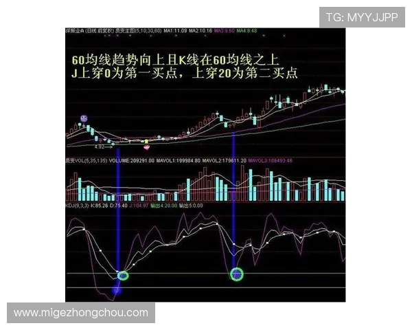 三公牌玩法比大小的详细流程与实用建议让你在游戏中轻松应对各种大小比拼场景
