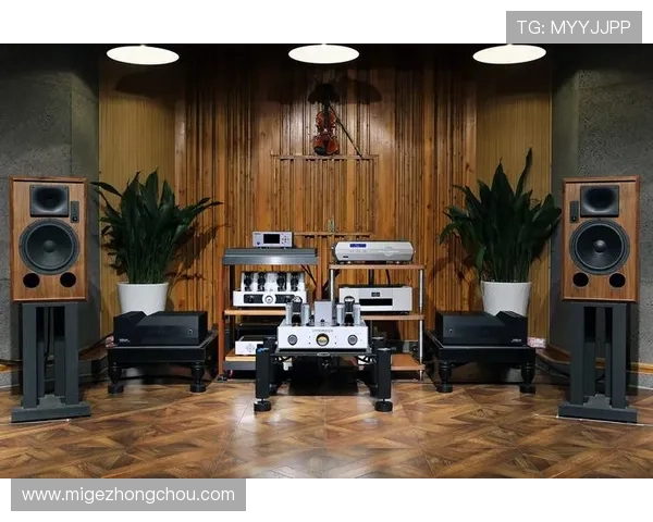 欧博2代注册常见问题及解决方案全面解析