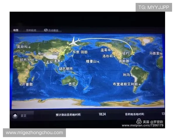 了解纽约国际娱乐场的合法合规运营背景确保您的娱乐体验安全无忧